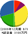 相馬電機 貸借対照表 2009年12月期