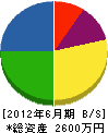 神田設備工業 貸借対照表 2012年6月期