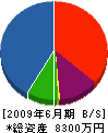 平田設備 貸借対照表 2009年6月期