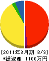 縄田技建 貸借対照表 2011年3月期