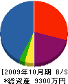 屋島興産 貸借対照表 2009年10月期