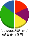 渡辺工務店 貸借対照表 2012年6月期