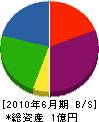 小澤忠商店 貸借対照表 2010年6月期