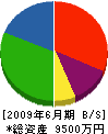 徳永電気工業 貸借対照表 2009年6月期
