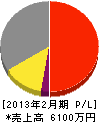 カワムラ塗装 損益計算書 2013年2月期