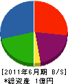 松山組 貸借対照表 2011年6月期