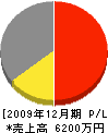 藤田土建 損益計算書 2009年12月期