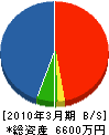 タケノ 貸借対照表 2010年3月期