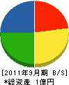 川崎建設 貸借対照表 2011年9月期