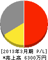 井沢電気 損益計算書 2013年3月期