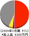 昭電工事 損益計算書 2009年3月期