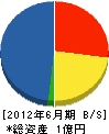 小澤建設 貸借対照表 2012年6月期