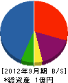 Ｍ・Ｌ・Ｃ 貸借対照表 2012年9月期