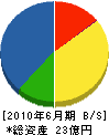 太田組 貸借対照表 2010年6月期
