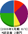松組 貸借対照表 2009年9月期