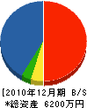 木村電業 貸借対照表 2010年12月期