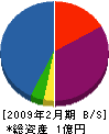 サンエイ 貸借対照表 2009年2月期