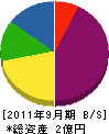 日本電機商会 貸借対照表 2011年9月期