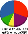 イワセイ 貸借対照表 2008年12月期