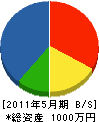 松井塗装 貸借対照表 2011年5月期