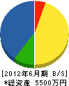四国テクニカ 貸借対照表 2012年6月期