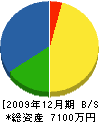 坂井設備工業所 貸借対照表 2009年12月期