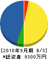 豊田建設 貸借対照表 2010年9月期