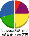 斎藤電気工事 貸借対照表 2012年3月期