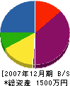 片岡電気商会 貸借対照表 2007年12月期