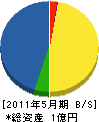 青電工 貸借対照表 2011年5月期