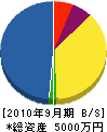 辻設備工業所 貸借対照表 2010年9月期