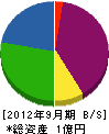 山本開発 貸借対照表 2012年9月期