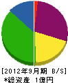 隅田建設 貸借対照表 2012年9月期
