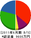 徳永電気工業 貸借対照表 2011年6月期