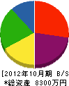 渡辺建設 貸借対照表 2012年10月期