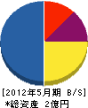 新日本建設 貸借対照表 2012年5月期