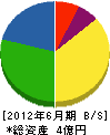 竹藤建設 貸借対照表 2012年6月期