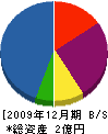 冨士新舗道 貸借対照表 2009年12月期