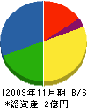 坂本建材土木 貸借対照表 2009年11月期