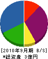 ヤマソウ 貸借対照表 2010年9月期