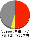 松本建設 損益計算書 2010年4月期