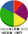 丸和青山工業 貸借対照表 2012年3月期