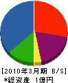 樋沢産業 貸借対照表 2010年3月期
