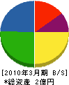 エネサーブ神奈川 貸借対照表 2010年3月期