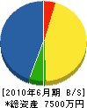 広田電機 貸借対照表 2010年6月期
