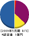 尼京建設 貸借対照表 2009年5月期