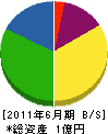 日光電機 貸借対照表 2011年6月期