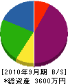 藤井商会 貸借対照表 2010年9月期