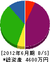 松田塗装工業 貸借対照表 2012年6月期