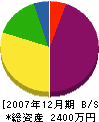 浜田建設 貸借対照表 2007年12月期